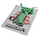 Minecraft Medium Gift Bag-TM-05630