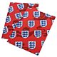 England FA Crest Gift Wrap-TM-05643