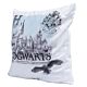 Harry Potter Hogwarts Velvet Feel Cushion-TM-05839