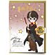 Harry Potter Greetings Card with Badge-TM-05899