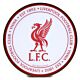 Liverpool FC 12 Inch LED Wall Light-TM-05853