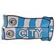 Manchester City FC Show Your Colours Window Sign-136612