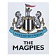 Newcastle United FC A3 Car Decal-TM-04201