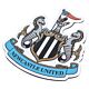 Newcastle United FC Crest Fridge Magnet-TM-04216