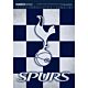 Tottenham Hotspur FC Deluxe Calendar 2026-TM-07130