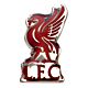 Liverpool FC Keyring & Badge Set-TM-06444