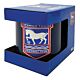 Ipswich Town FC Fade Mug-TM-07304