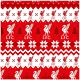 Liverpool FC Christmas Gift Wrap-TM-07270