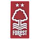 Nottingham Forest FC 3D Fridge Magnet-TM-07298