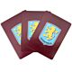 Aston Villa FC Playing Cards-TM-06955