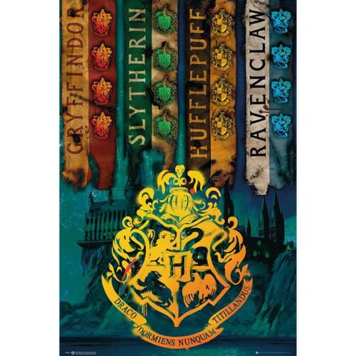Harry Potter Poster House Flags 229-140748