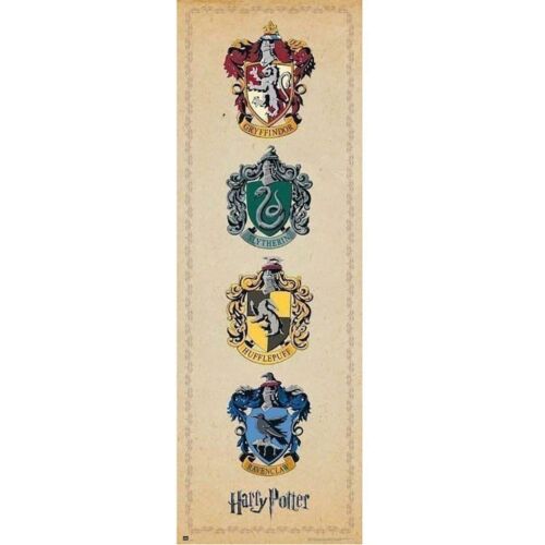 Harry Potter Door Poster 314-159335