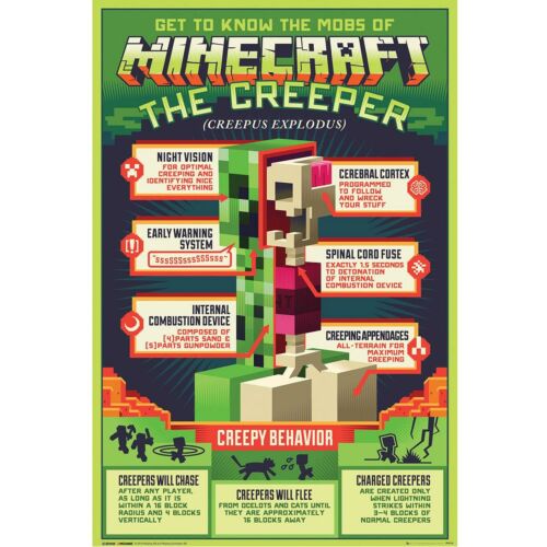 Minecraft Poster Creeper 131-162769