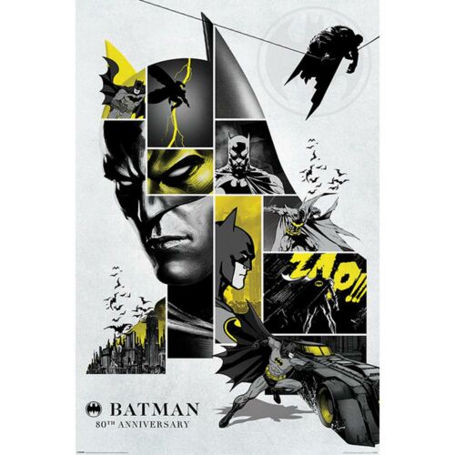 Batman Poster 80th Anniversary 122-164786
