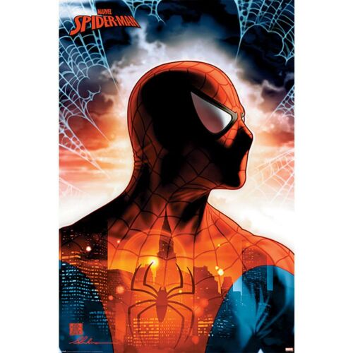 Spider-Man Poster 112-167985