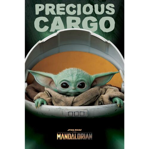 Star Wars: The Mandalorian Poster Precious Cargo 168-172444