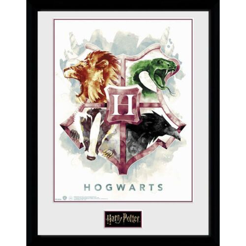 Harry Potter Picture Watercolour 16 x 12-172821