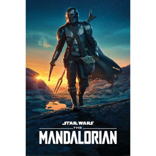 Star Wars: The Mandalorian Poster Nightfall 282-187593