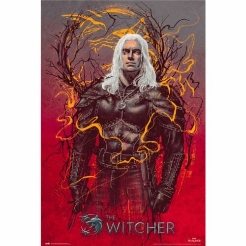 The Witcher Poster Geralt 65-TM-00661