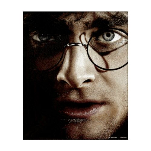 Harry Potter Framed 3D Picture-TM-00929