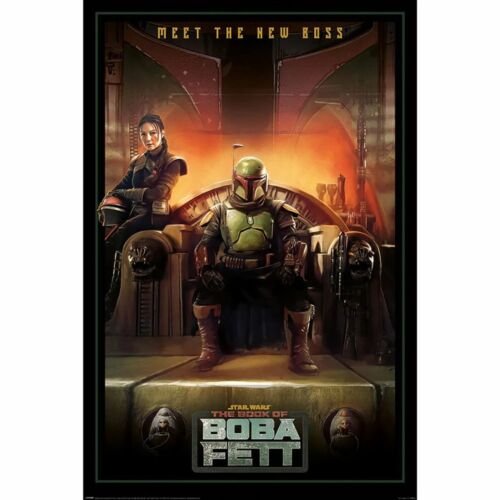 Star Wars: The Book of Boba Fett Poster Dark 281-TM-01433