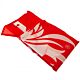 Liverpool FC Core Crest Flag
