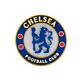 Chelsea FC 3D Fridge Magnet