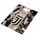 Juventus FC 3D Fridge Magnet-154983