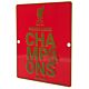 Liverpool FC Premier League Champions Window Sign-177866
