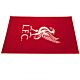 Liverpool FC Rug-56240