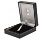 Tottenham Hotspur FC Silver Plated Tie Slide