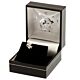 Rangers FC Scroll Crest Sterling Silver Stud Earring-3931