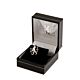 Chelsea FC Bracelet Charm Lion-102048