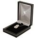 Liverpool FC Stainless Steel Pendant & Chain-135571