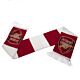 Arsenal FC Bar Scarf-132466