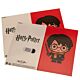 Harry Potter Gift Wrap