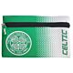 Celtic FC Fade Pencil Case-183519