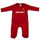 Wales RU Sleepsuit 9/12 mths PS