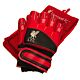 Liverpool FC Delta Goalkeeper Gloves Kids