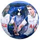 Tottenham Hotspur FC Players Photo Football-190916
