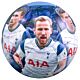 Tottenham Hotspur FC Players Photo Football