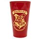 Harry Potter Premium Large Glass