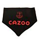 Everton FC 2 Pack Bibs-TM-00118