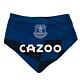 Everton FC 2 Pack Bibs-TM-00118