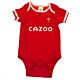 Wales RU 2 Pack Bodysuit 3-6 Mths PC