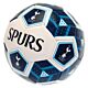 Tottenham Hotspur FC Hex Size 3 Football-TM-00569