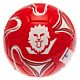 England Lionesses Football-TM-01608