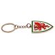 FA Wales Crest Keyring