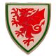 FA Wales Crest Badge