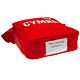 FA Wales Kit Lunch Bag